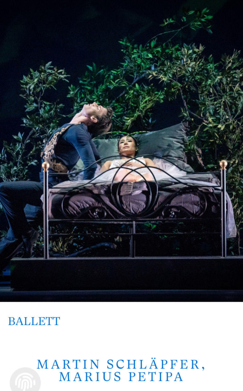 Sleeping Beauty - Vienna State Opera